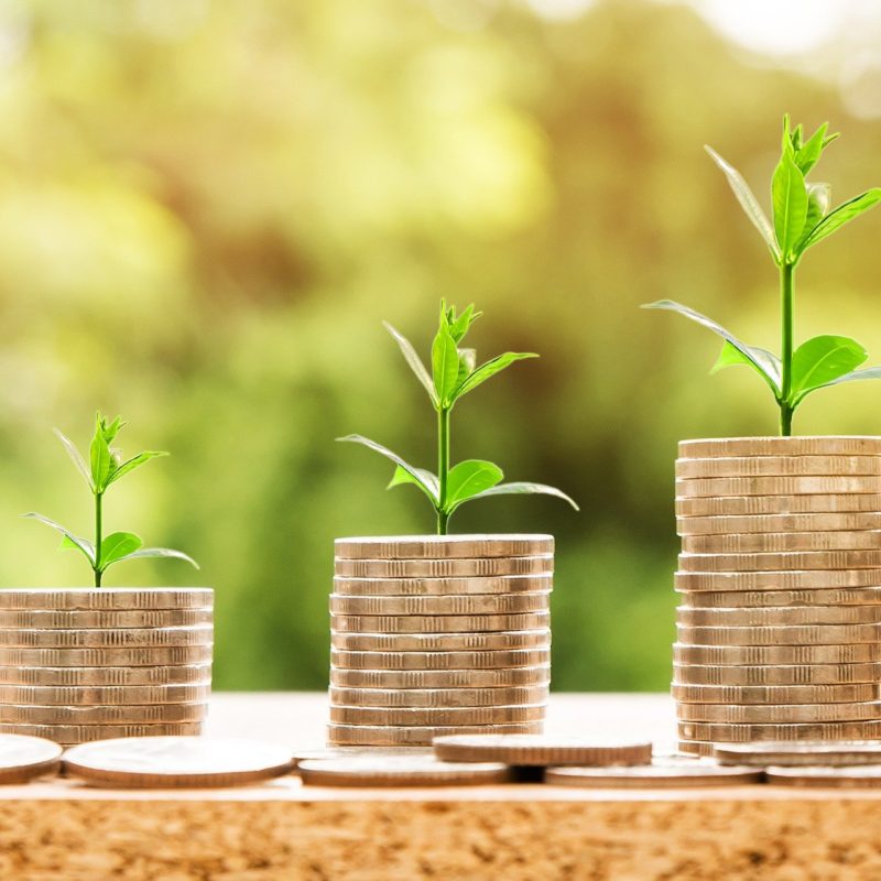 Vicitm Compensation Schemes for Survivors